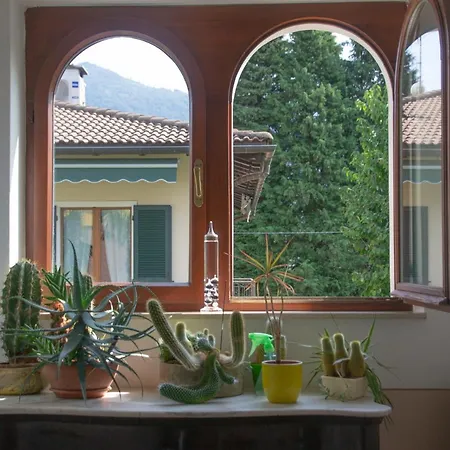 Michelangelo - Welchome *